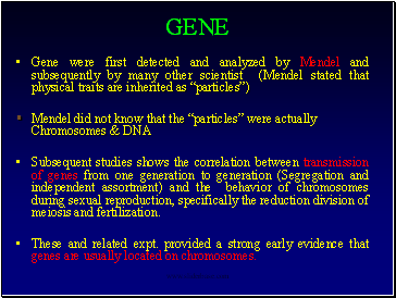 Gene