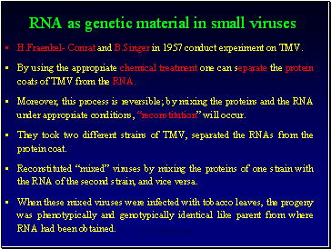 RNA as genetic material in small viruses