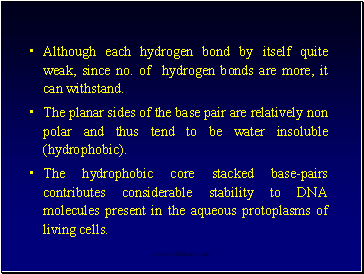 Although each hydrogen bond by itself quite weak, since no. of hydrogen bonds are more, it can withstand.