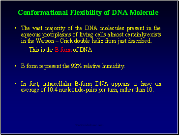 Conformational Flexibility of DNA Molecule