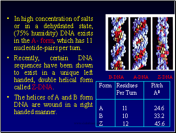 In high concentration of salts or in a dehydrated state, (75% humidity) DNA exists in the A- form, which has 11 nucleotide-pairs per turn.