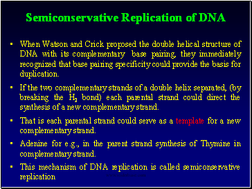 Semiconservative Replication of DNA