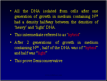All the DNA isolated from cells after one generation of growth in medium containing N14 had a density halfway between the densities of ‘heavy’ and ‘light’ DNA.