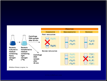 DNA - An overview