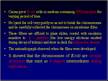 Cairns grew E.coli cells in medium containing [H3]thymidine for varying period of time.