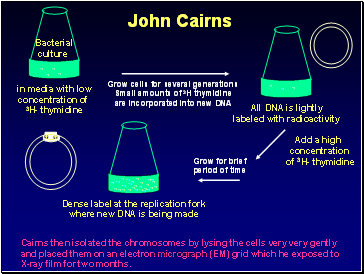 John Cairns