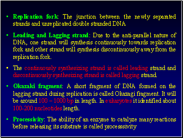 Replication fork: The junction between the newly separated strands and unreplicated double stranded DNA