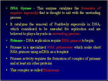 DNA Gyrase - This enzyme catalyzes the formation of negative supercoils that is thought to aid with the unwinding process.