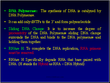 DNA Polymerase: The synthesis of DNA is catalyzed by DNA Polymerase.