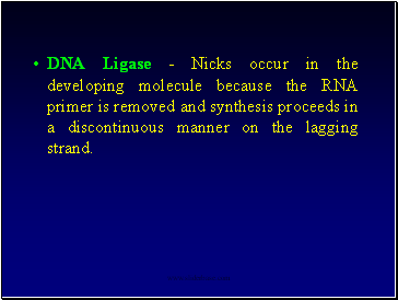 DNA Ligase - Nicks occur in the developing molecule because the RNA primer is removed and synthesis proceeds in a discontinuous manner on the lagging strand.