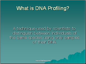 What is DNA Profiling?