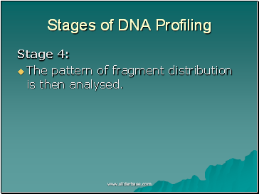 Stages of DNA Profiling