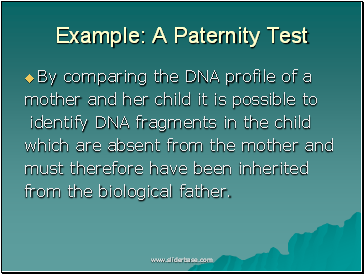 Example: A Paternity Test