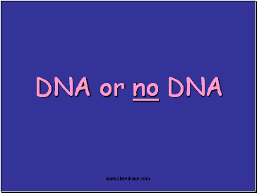 DNA or no DNA