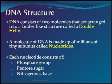 DNA Structure