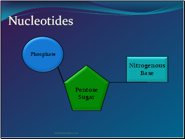 Nucleotides