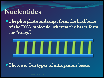 Nucleotides