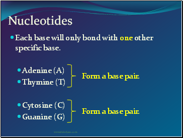 Nucleotides