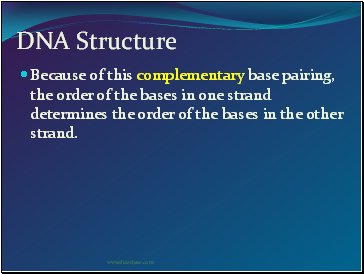 DNA Structure