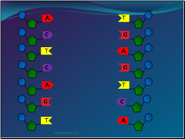 Nucleotides