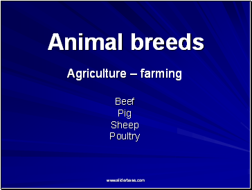 Farm animal breeds