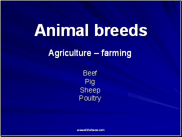 Animal breeds