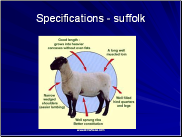 Specifications - suffolk