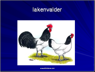 lakenvalder