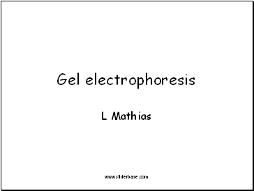 Gel electrophoresis