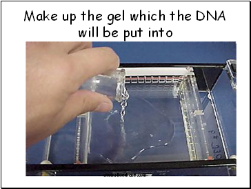 Make up the gel which the DNA will be put into