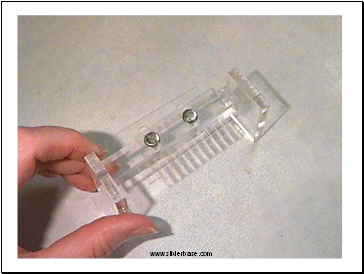 DNA negatively charged