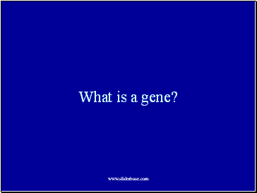 What is a gene?