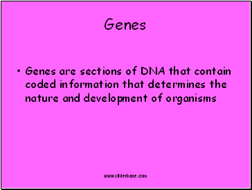 Genes