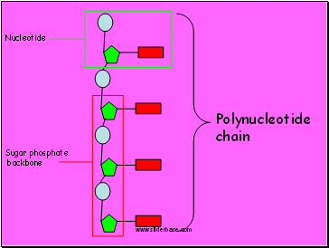 Sugar phosphate