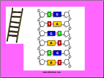 Sugar phosphate