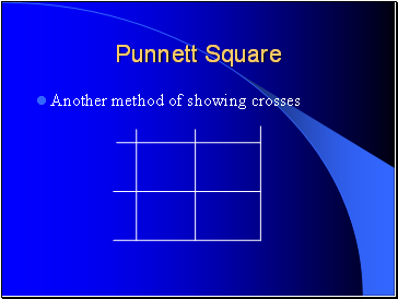 Punnett Square