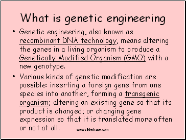 What is genetic engineering