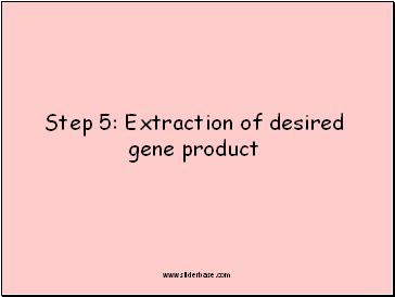 Step 5: Extraction of desired gene product