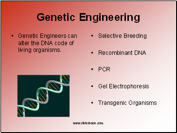 Genetic Engineering 2