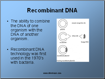 Recombinant DNA