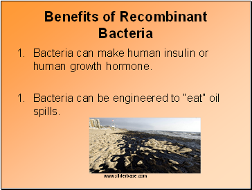 Benefits of Recombinant Bacteria