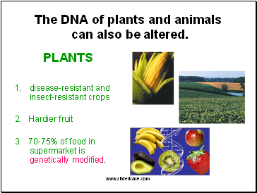 The DNA of plants and animals can also be altered.