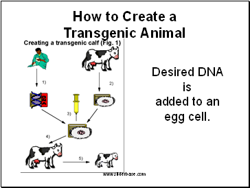Desired DNA is