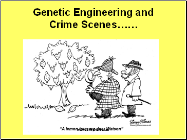 Genetic Engineering and Crime Scenes
