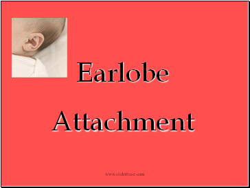 Earlobe