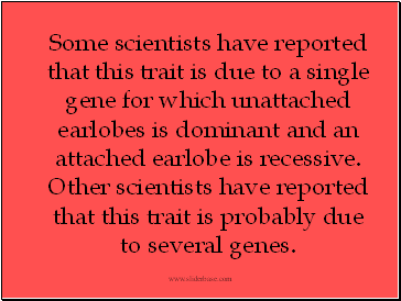 Some scientists have reported that this trait is due to a single gene for which unattached earlobes is dominant and an attached earlobe is recessive. Other scientists have reported that this trait is probably due to several genes.