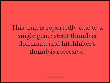 This trait is reportedly due to a single gene; strait thumb is dominant and hitchhiker's thumb is recessive.