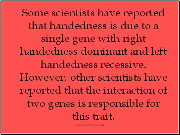 Some scientists have reported that handedness is due to a single gene with right handedness dominant and left handedness recessive. However, other scientists have reported that the interaction of two genes is responsible for this trait.