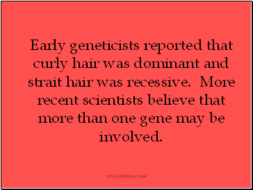 Early geneticists reported that curly hair was dominant and strait hair was recessive. More recent scientists believe that more than one gene may be involved.