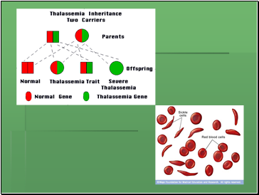 Autosomal Recessive Inheritance